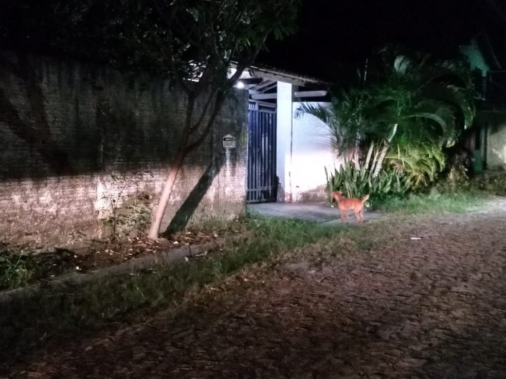 Prefeito Afastado De Beberibe Tem Casa Invadida E Familiares Feridos Ceara G1