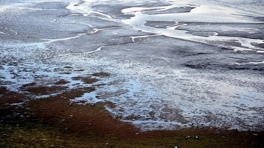 Cientistas reviveram antigos vírus 'zumbis' do permafrost