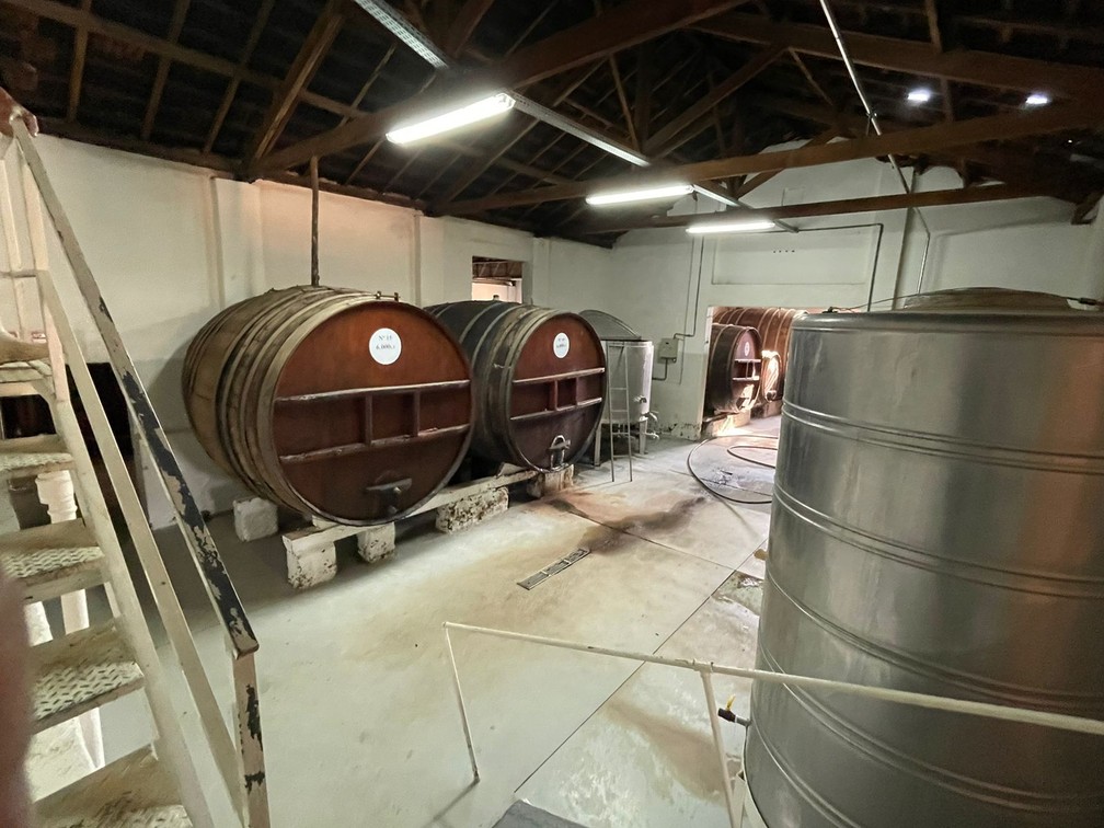 Produção vinho da família Beloto, em Andradas (MG) — Foto: Gervásio Ribeiro Beloto 
