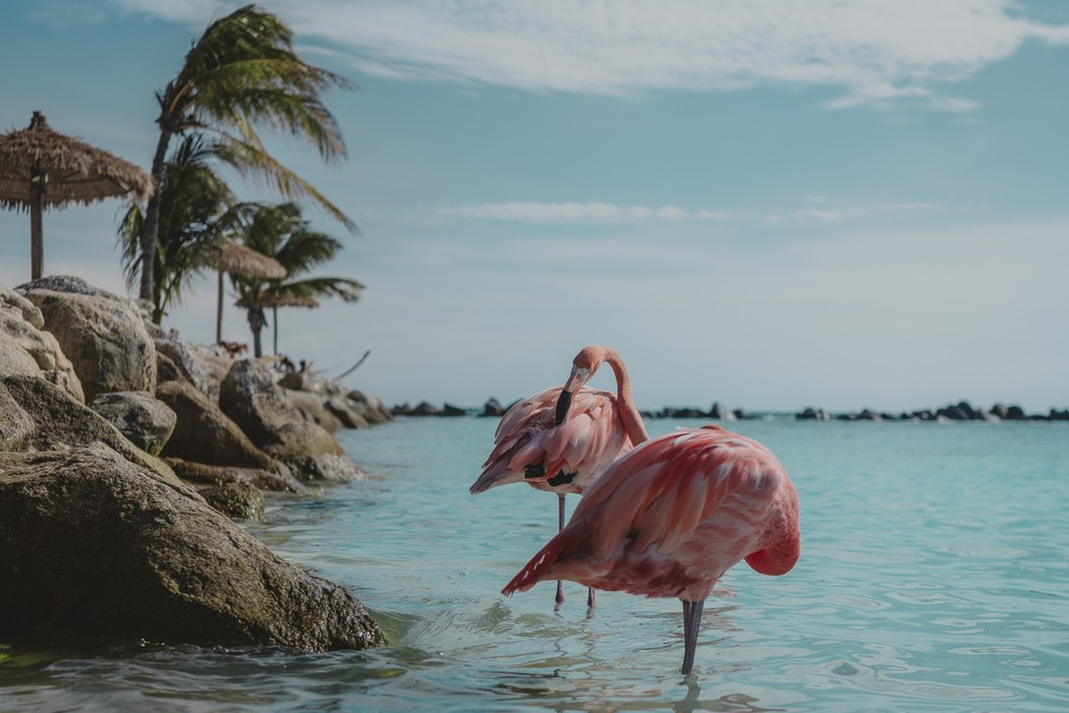 Aruba é a ilha do Caribe que mais possui dias ensolarados  — Foto: Getty Images 