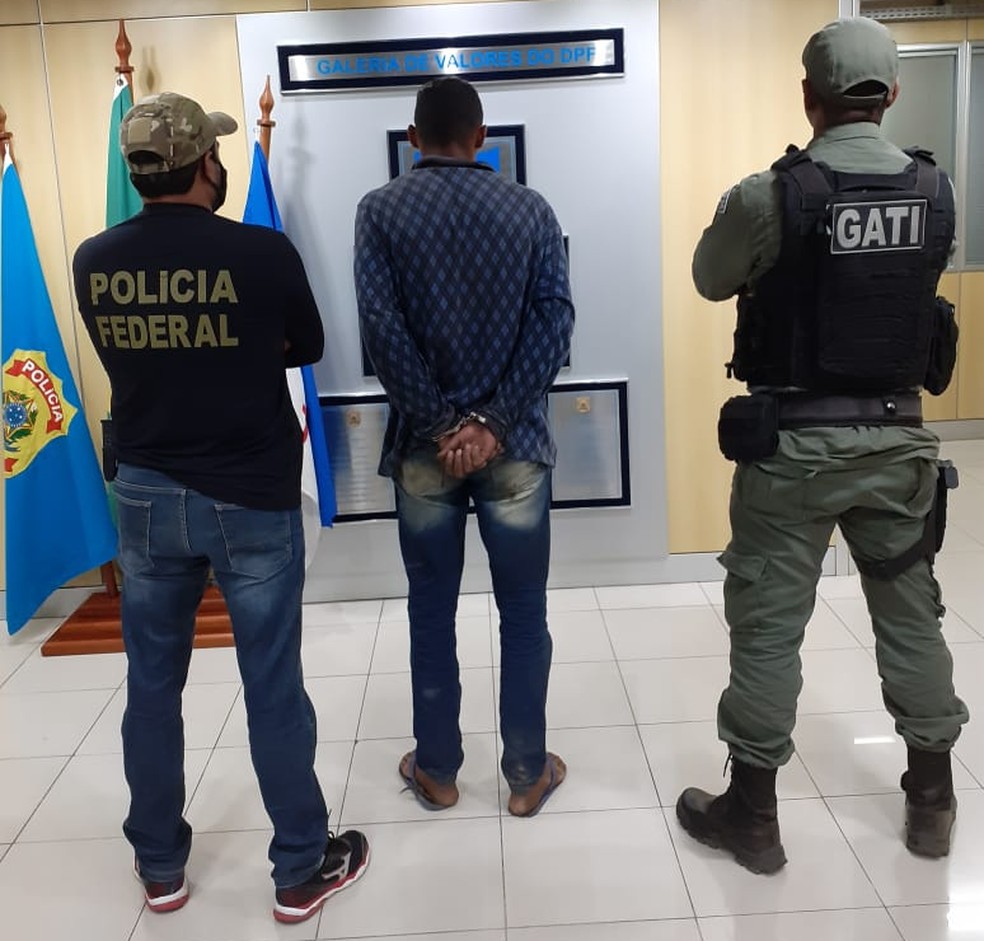 Um jovem foi preso cultivando a droga em Santa Maria da Boa Vista — Foto: Divulgação/ Polícia Militar de Pernambuco