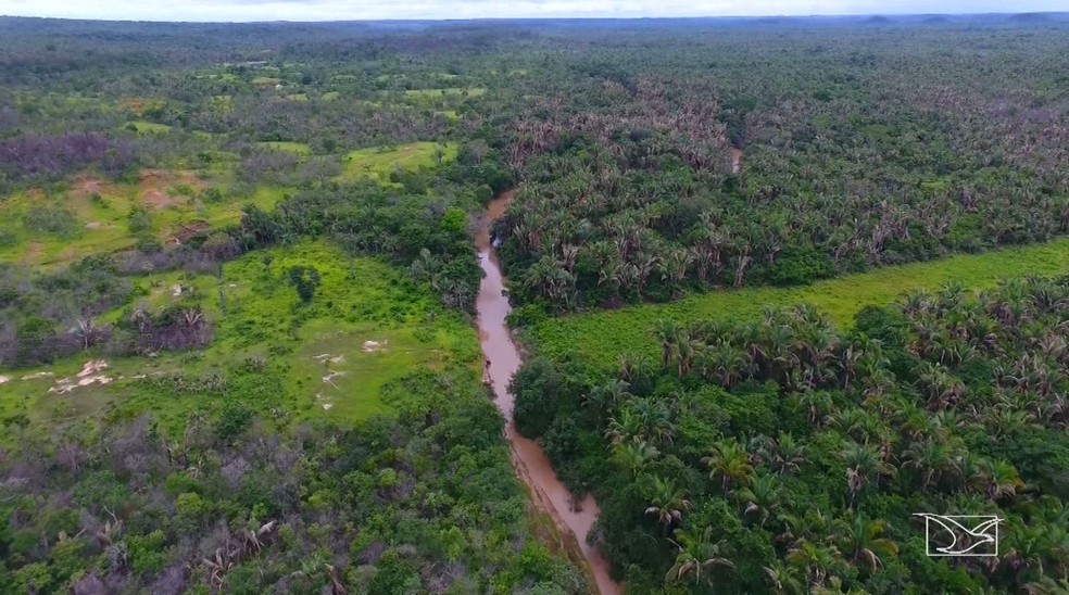 Rio Itapecuru é responsável pelo abastecimento de quase metade da população maranhense. — Foto: Reprodução/TV Mirante