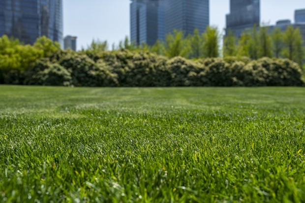 Green Space, Lujiazui Central, Shanghai, China. (Foto: Getty Images)