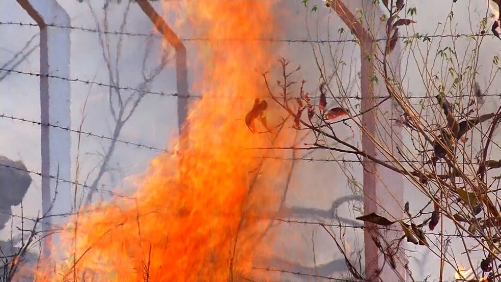De acordo com o Instituto, quase todas as queimadas  são causadas pelo homem. — Foto: TV Verdes Mares/Reprodução