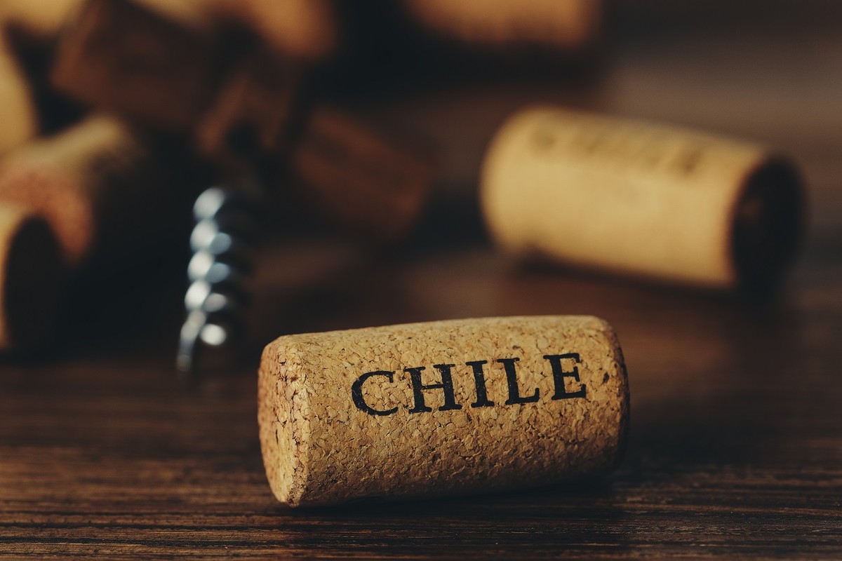 Bodega chilena Santa Carolina lanza la nueva gama Estelar 57 |  Guía de vinos y gastronomía