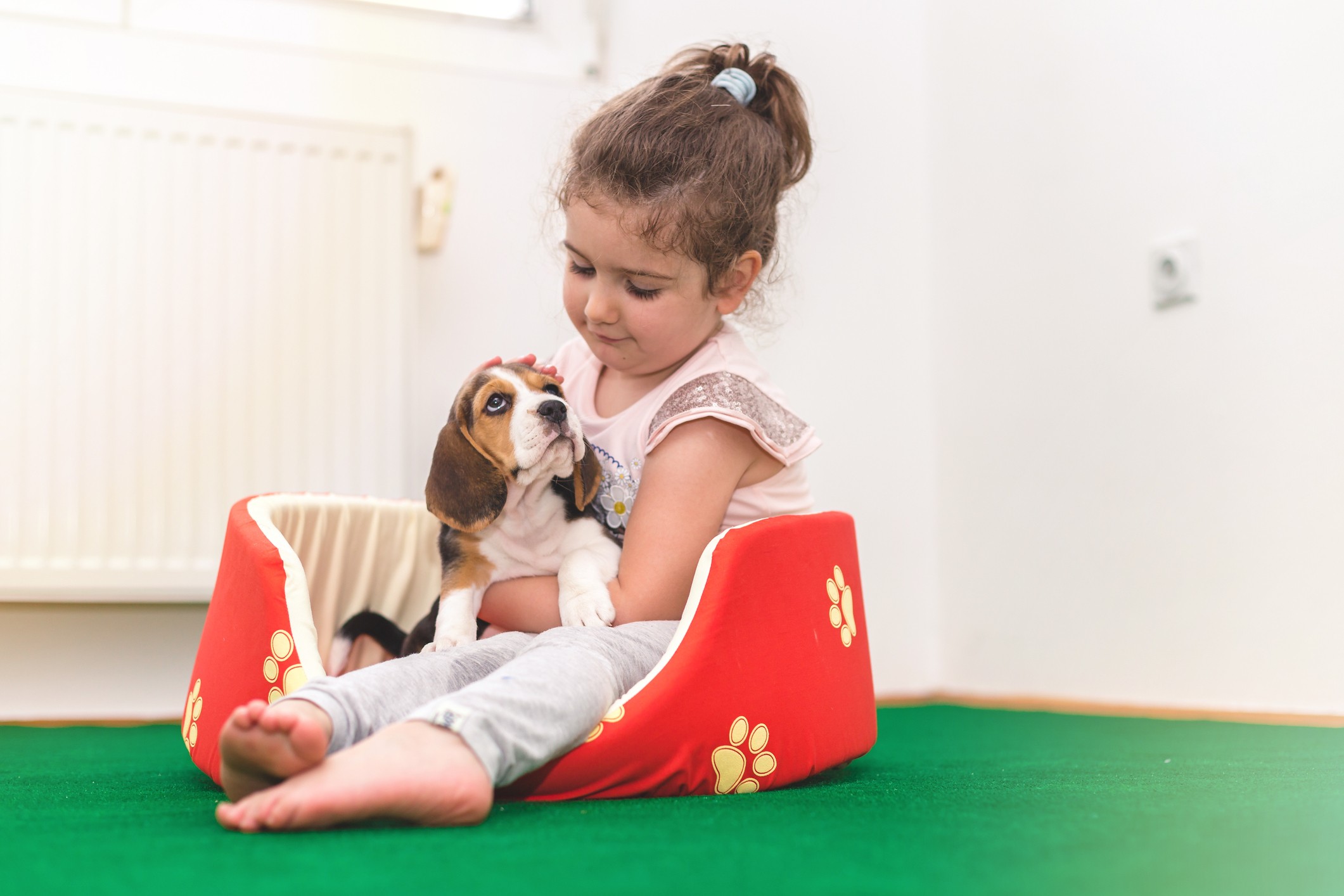 A aproximação de crianças e pets precisa ser supervisionada e feita com atenção e cuidado, para que seja uma experiência positiva tanto para a criança quanto para o animal (Foto: Getty Images)