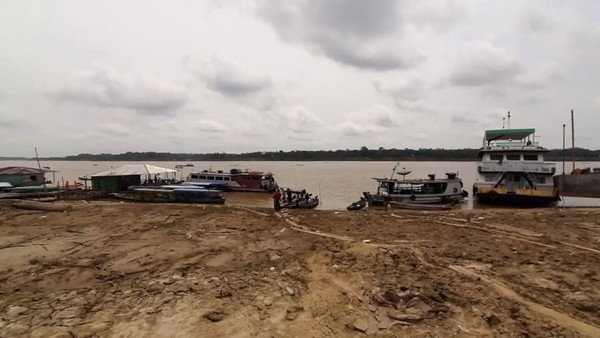 Vazante dos rios coloca nove munic&iacute;pios em situa&ccedil;&atilde;o de alerta no Amazonas |  Amazonas | G1