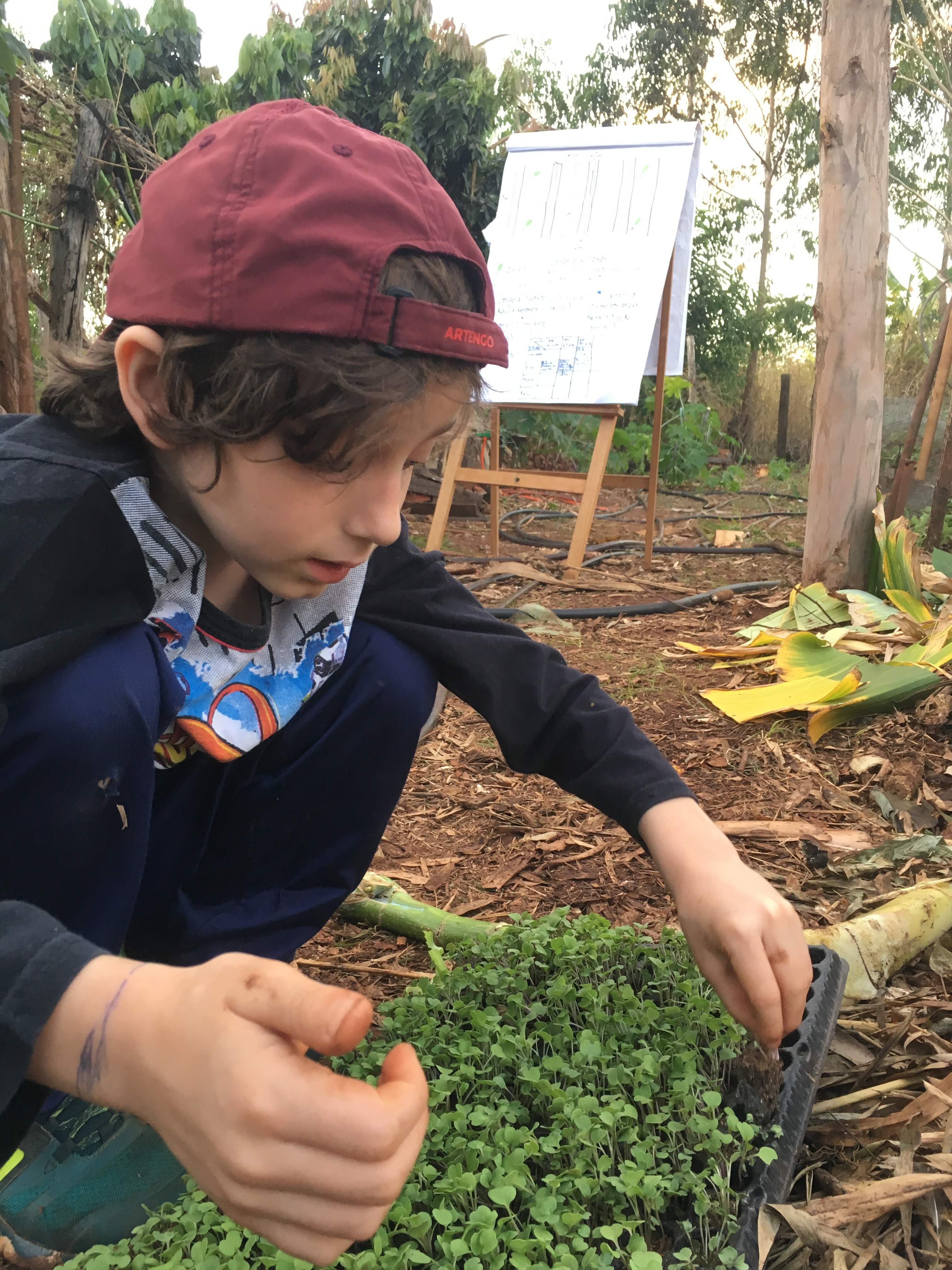 Menino que sonha ser engenheiro é coautor em congresso nacional de agroecologia com pesquisa que monitora Rio Piracicaba 