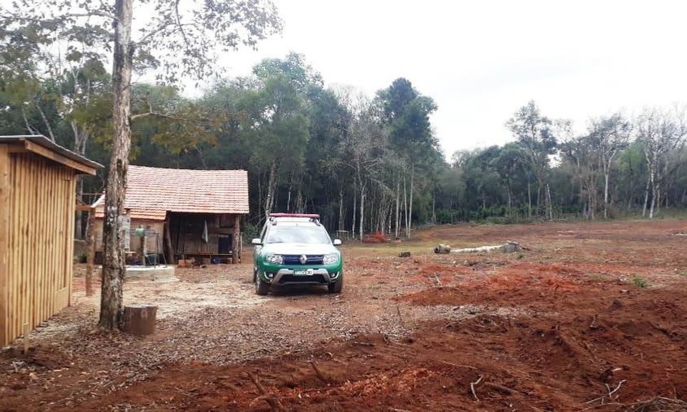 Polícia aplica R$ 1,8 milhão em multas por áreas desmatadas na região central do Paraná — Foto: Polícia Ambiental/Divulgação