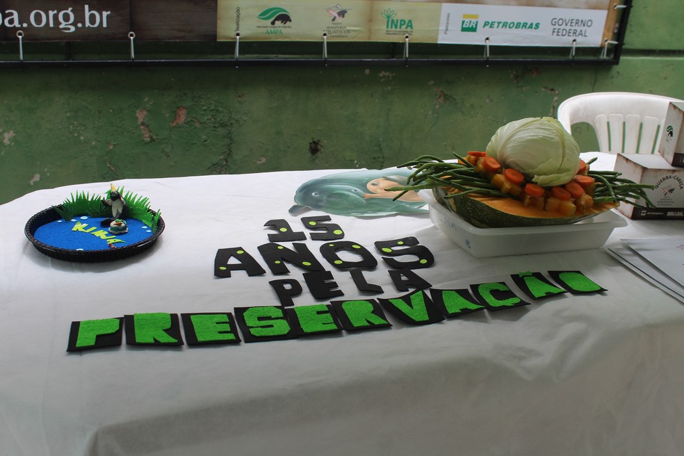 Comemoração de aniversário de peixe-boi teve direito a ornamentação e até um bolo de vegetais especialmente para ele — Foto: Patrick Marques/G1 AM