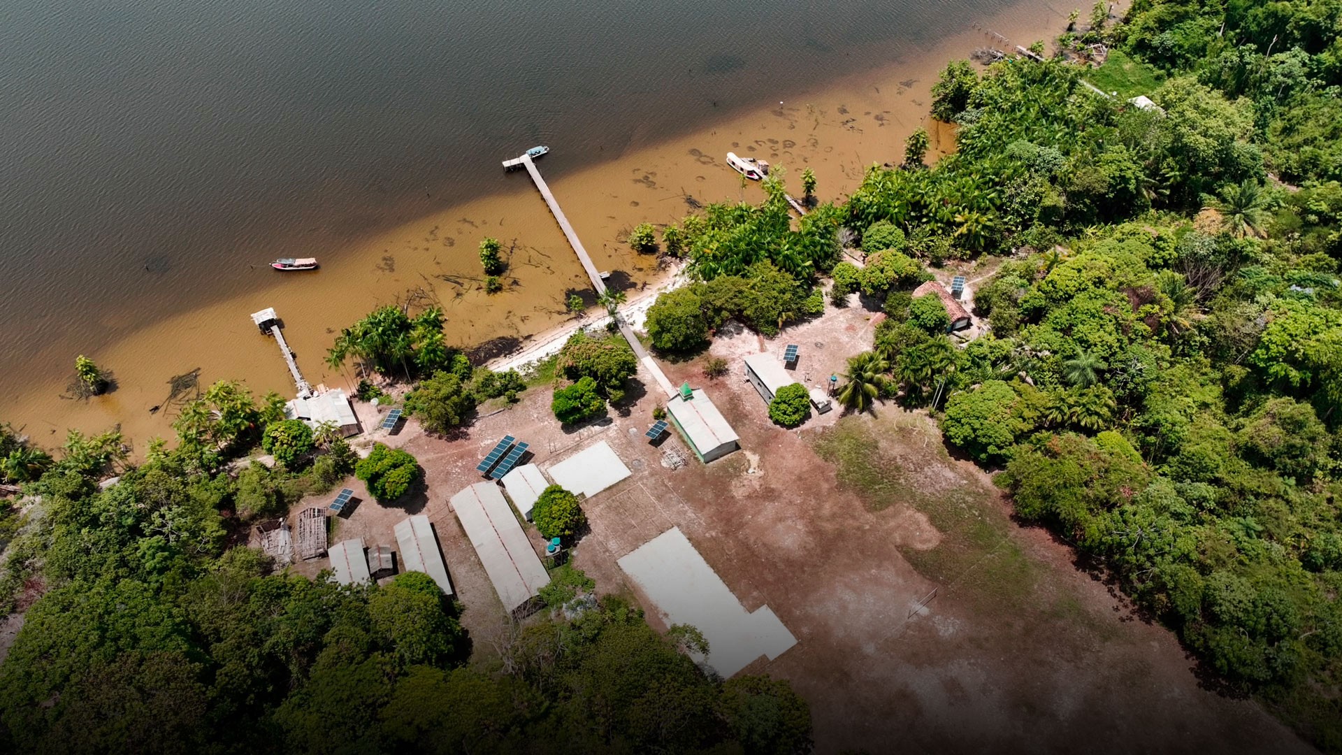 Fraude na Amazônia: empresas usam terras públicas como se fossem particulares para vender créditos de carbono a gigantes multinacionais