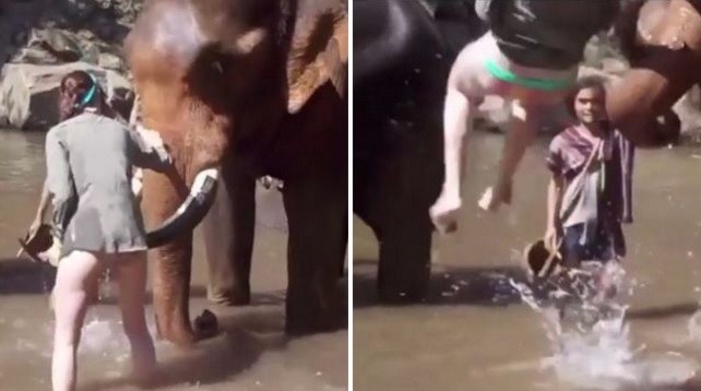 A turista foi 'arremessada' pelo animal em rio tailandês