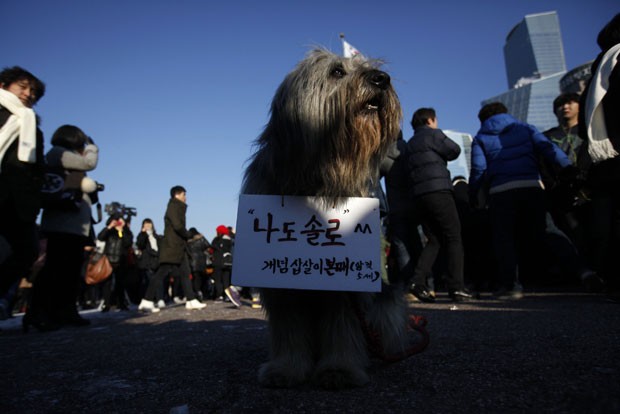 Cachorro levava cartaz pendurado no pescoço que dizia: 'eu sou solteiro também' (Foto: Kim Hong-ji/Reuters)