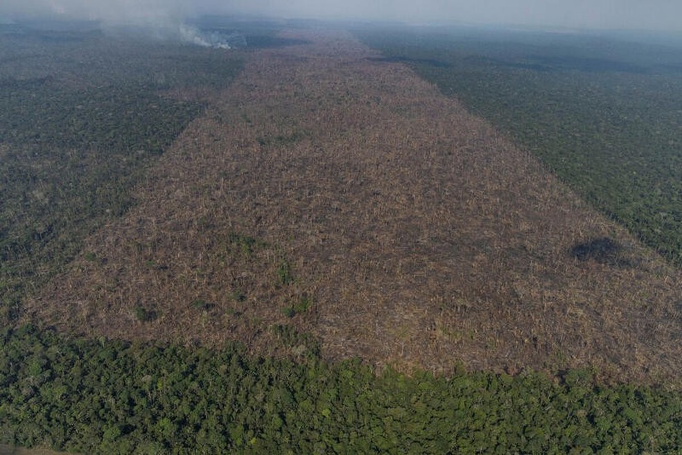 Vista aérea de um desmatamento na Amazônia para expansão pecuária, em Lábrea, Amazonas — Foto: Victor Moriyama/Amazônia em Chamas