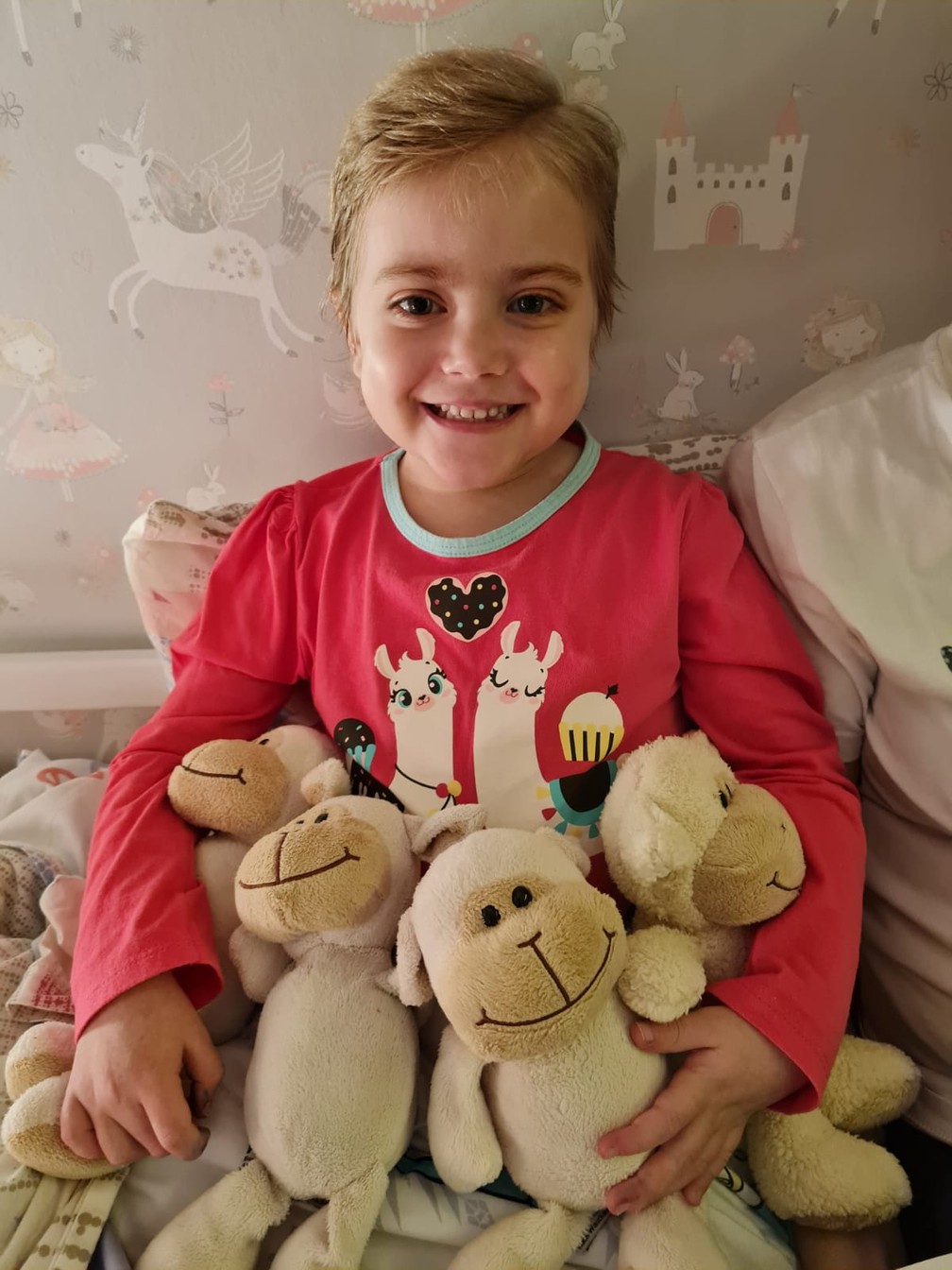 Família de Isabela Feckinghaus, de 5 anos, fez campanhas na internet, incentivando o cadastro de doadores de medula óssea — Foto: Arquivo pessoal