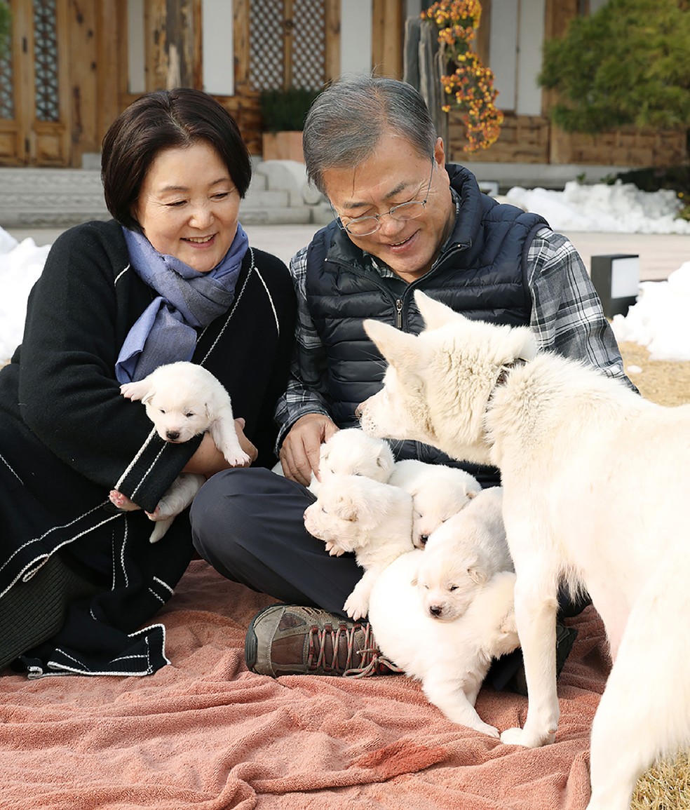 Foto de 25 de novembro de 2018 mostra o então presidente da Coreia do Sul, Moon Jae-in e sua mulher, Kim Jung-sook, ao lado da cachorra Gomi, que ganharam de presente de Kim Jong-un, e dos seis filhotes do animal — Foto: handout/The Blue House/AFP