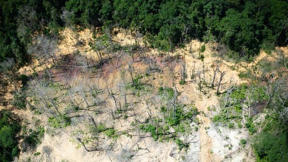 Mineração e falta de políticas públicas representam ameaças aos povos indígenas, defende corte internacional — Foto: Getty Images