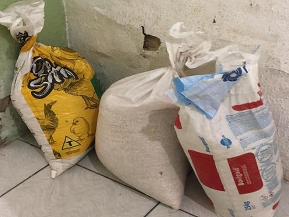 Sacas de grãos foram furtadas de lojas — Foto: Divulgação/PCPI