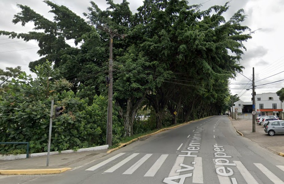 Nina foi empurrada contra árvore por homem que se masturbou e ejaculou em suas pernas;   às 16h20, em uma avenida movimentada de Joinville