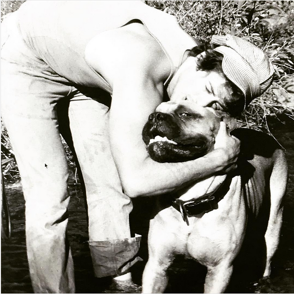 O ator Sylvester Stallone com seu cachorro (Foto: Instagram)