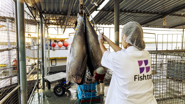 Fishtag-startup-investimento (Foto: Divulgação/Fishtag)