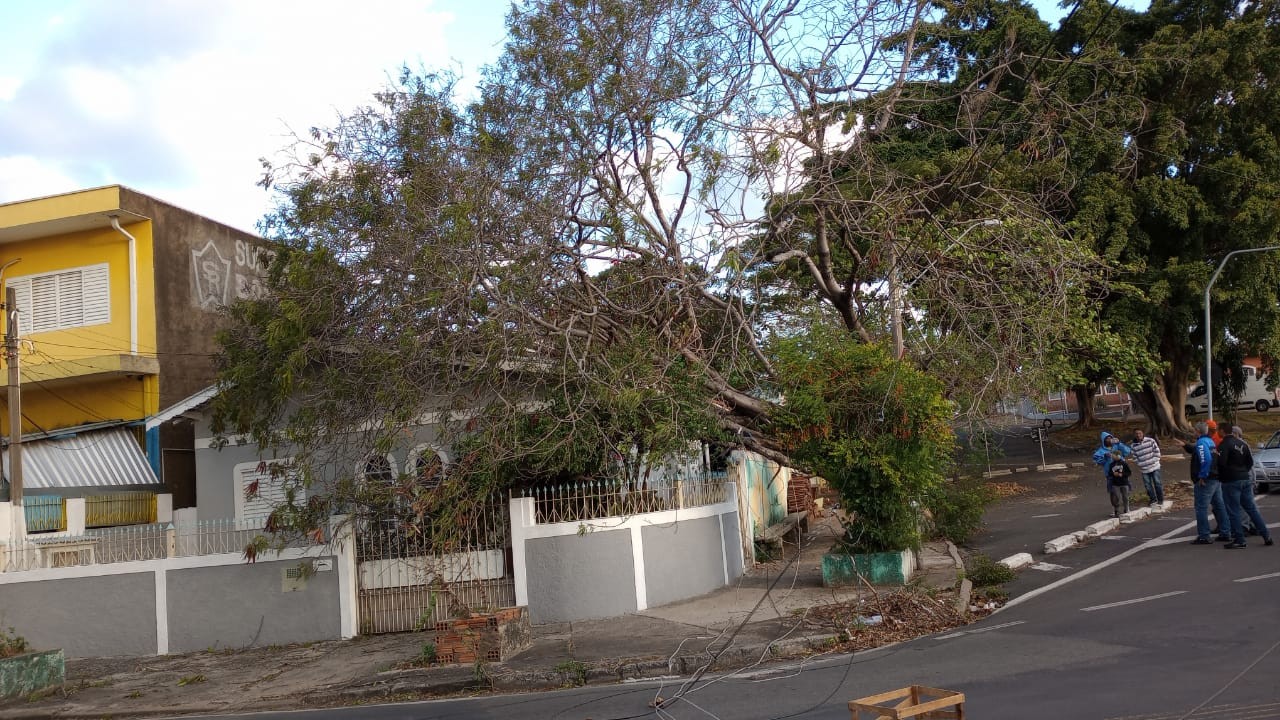 Vento derruba árvore sobre casa na Vila Mimosa, em Campinas