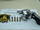 Revólver calibre 38 é encontrado em presídio de Pernambuco