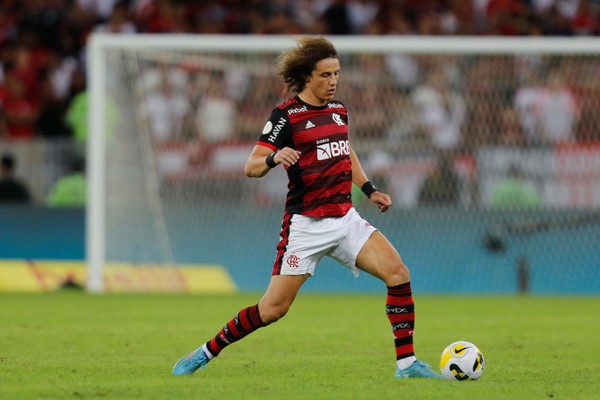 David Luiz, zagueiro do Flamengo (Foto: Divulgação)