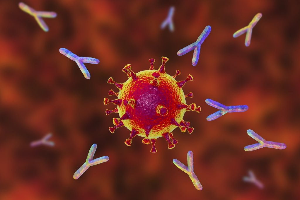 Anticorpos da cepa original do coronavírus, que se ligam à proteína spike, não se ligam a variantes, segundo estudo (Foto: Moore Medtech)