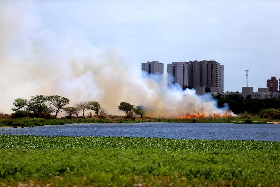 Fumaça de incêndio no Cocó se espalhou por bairros de Fortaleza — Foto: Thiago Gadelha/SVM