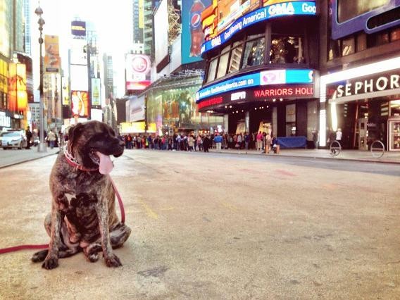 Visitando a Times Square (Foto: Reprodução/Yahoo)