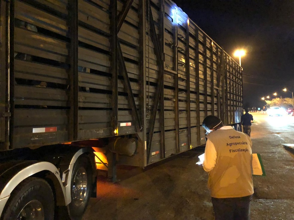 Defesa Agropecuária Estadual tem realizado fiscalizações constantes no Norte Fluminense para coibir transporte irregular de alimentos — Foto: Divulgação/Defesa Agropecuária Estadual