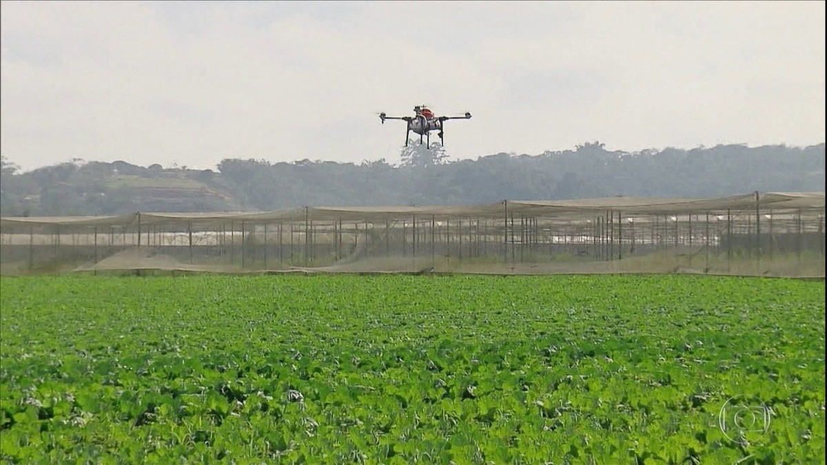 Tecnologia permite ampliar a aplicação de defensivos biológicos nas lavouras por meio de drones thumbnail