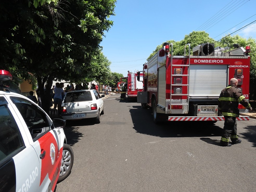 Bombeiros controlaram as chamas no Jardim Santa Clara (Foto: Jorge Zanoni/Cedida)