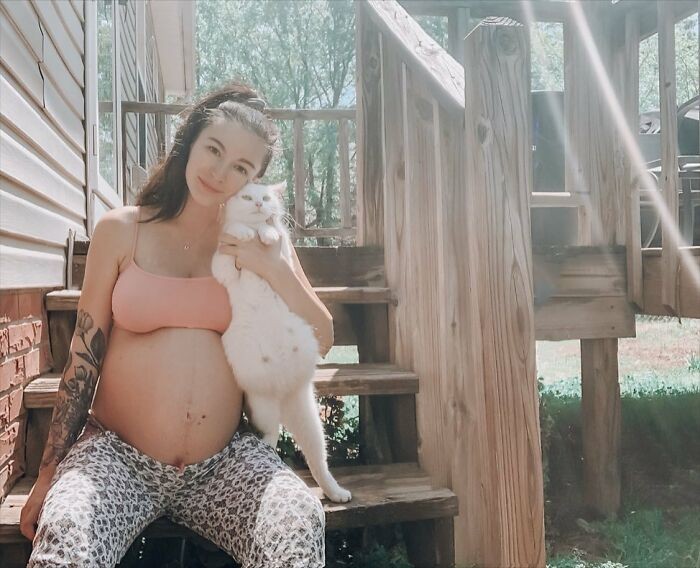 Lauren percebeu que teria que ajudar a gatinha ao ver que ela também estava grávida (Foto: Reprodução Instagram)