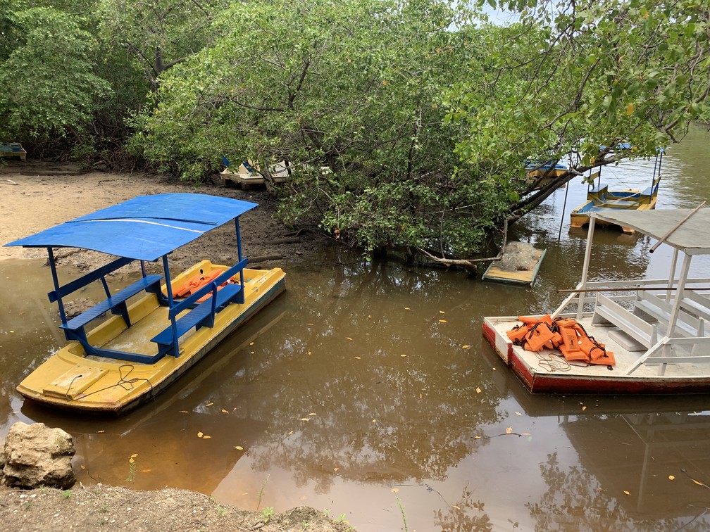 Jangadas levam turistas por passeio ecológico no Rio Tatuamunha: observação do ecossistema manguezal e de peixes-boi — Foto: Celso Tavares/G1