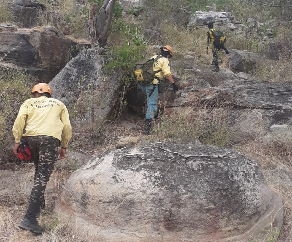 Ao todo, serão estudados quarenta sítios arqueológicos nas regiões da Serra da Ibiapaba e Sertões de Crateús.  — Foto: Reprodução