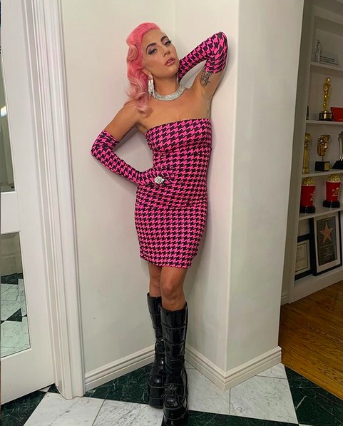 A cantora Lady Gaga com o cabelo pintado de rosa (Foto: Instagram)