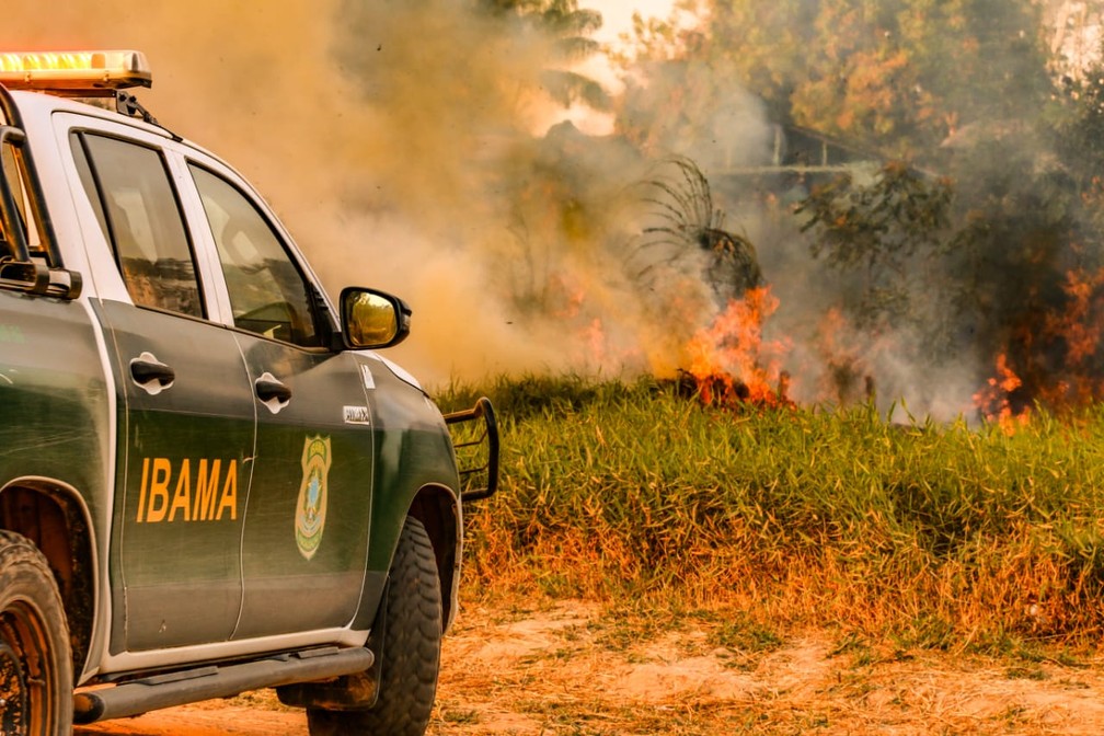 Enfraquecimento dos órgãos ambientais acabam contribuindo para as práticas criminosas, dizem especialistas  — Foto: Juan Diaz/Arquivo pessoal 