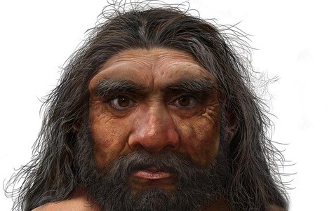 Homo longi ou 'homem dragão' viveu há cerca de 146 mil anos (Foto: Divulgação)