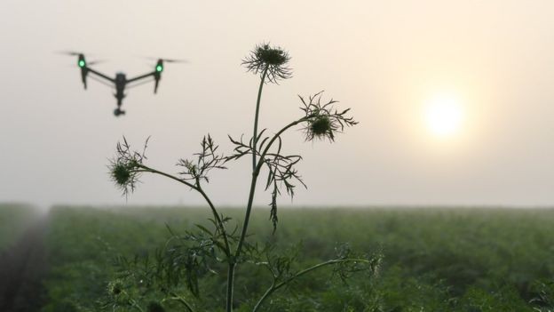 Seguranças privados e policiais acreditam que quadrilhas estejam usando drones para localizar depósitos de agrotóxicos em fazendas (Foto: Getty Images via BBC News Brasil)