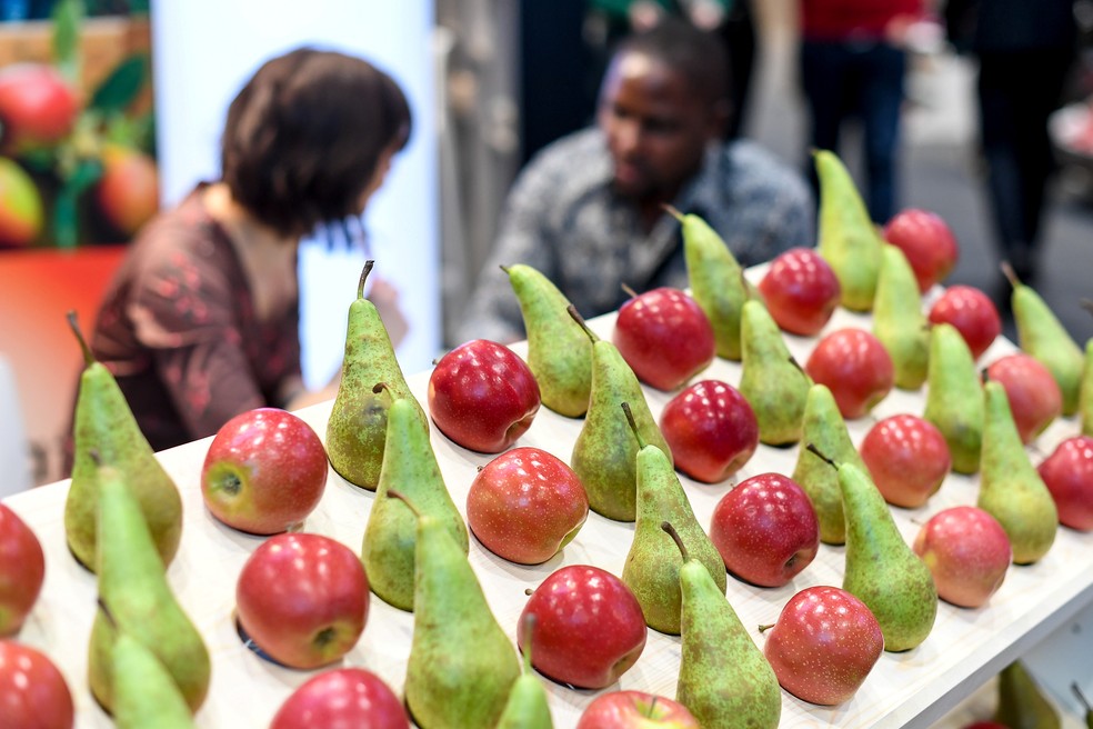 Na Fruit Logística deste ano, expectativa da Abrafrutas é de uma geração de negócios superior à do evento do ano passado, que foi de cerca de US$ 80 milhões — Foto: Messe Berlin GmbH