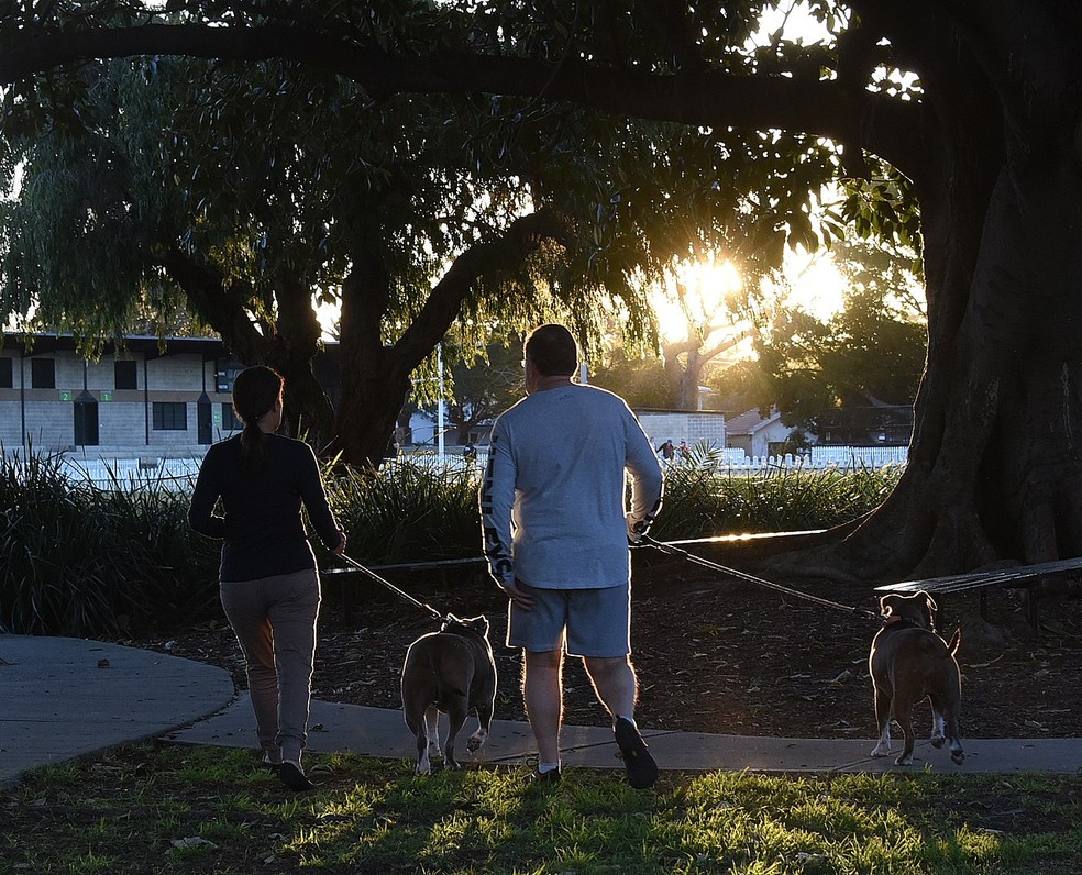 Nos EUA, fraturas relacionadas a passeios com cães mais que dobraram entre pessoas acima de 65 anos — Foto: By Sardaka - Own work, CC BY-SA 4.0, https://commons.wikimedia.org/w/index.php?curid=71246310