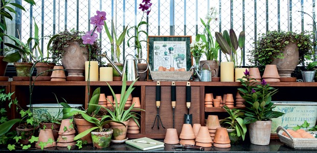 bancada-degranito-para-cuidar-de-orquídeas (Foto: Lilian Knobel/Editora Globo)
