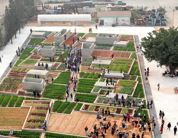 Conheça 4 hortas urbanas e saiba o que elas representam para a cidade (Foto:  )