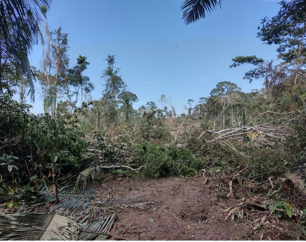 Operação Bioma: mais de 254 hectares são fiscalizadas no AC e 5 acabam presos por crimes ambientais — Foto: Arquivo/BP Ambiental