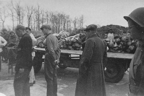 Conheça os 5 maiores genocídios da história. Acima: Civis alemães, que foram forçados a visitar o recém-libertado campo de concentração de Buchenwald, veem um caminhão-plataforma cheio de cadáveres. (Foto: Wikimedia Commons)