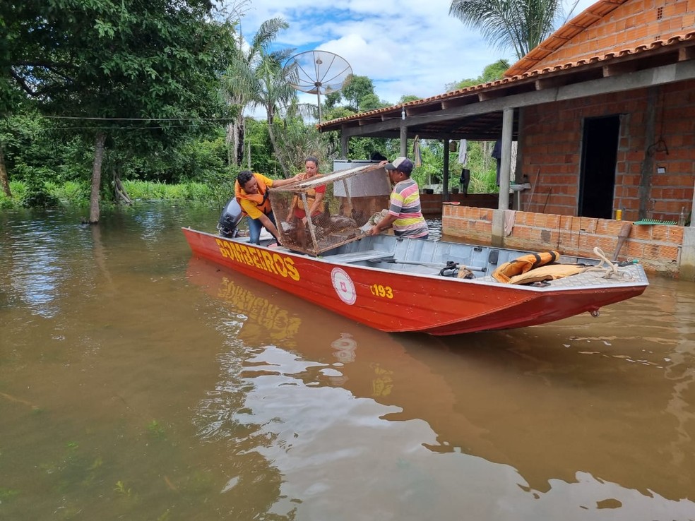 Moradores saem de casa após alagamentos — Foto: Defesa Civil/Governo do Tocantins