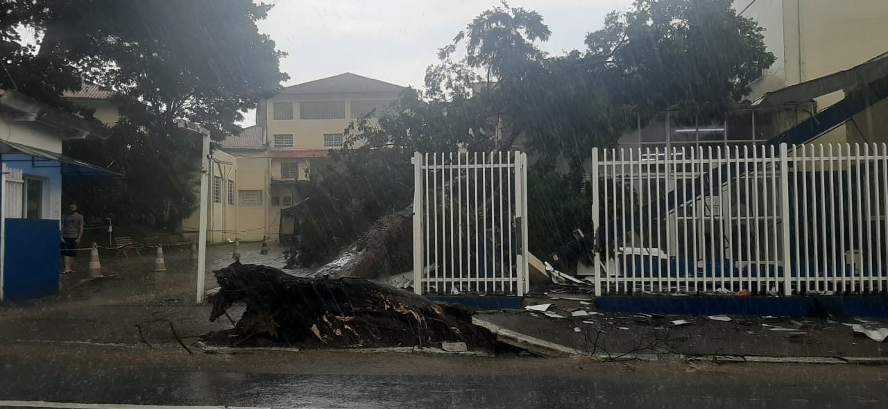 Árvore cai e derruba portão de unidade de saúde durante temporal em Taubaté
