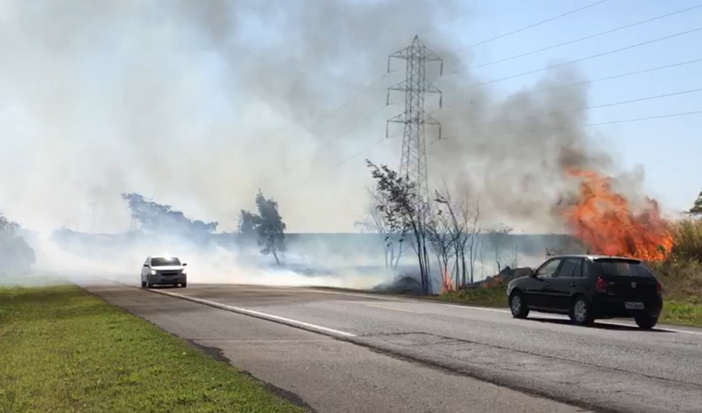 Fogo atingiu vegetação às margens da SP-284, entre Martinópolis e Rancharia, nesta terça-feira (1º) — Foto: Marcelo Pereira/TV Fronteira